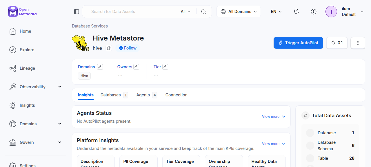 Hive service overview
